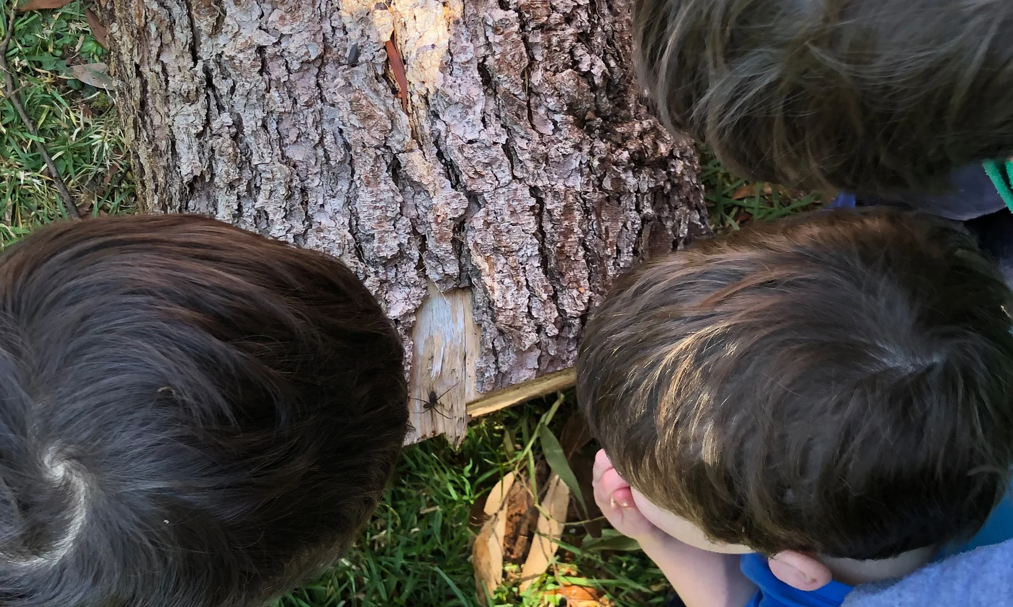 Group of kids having fun