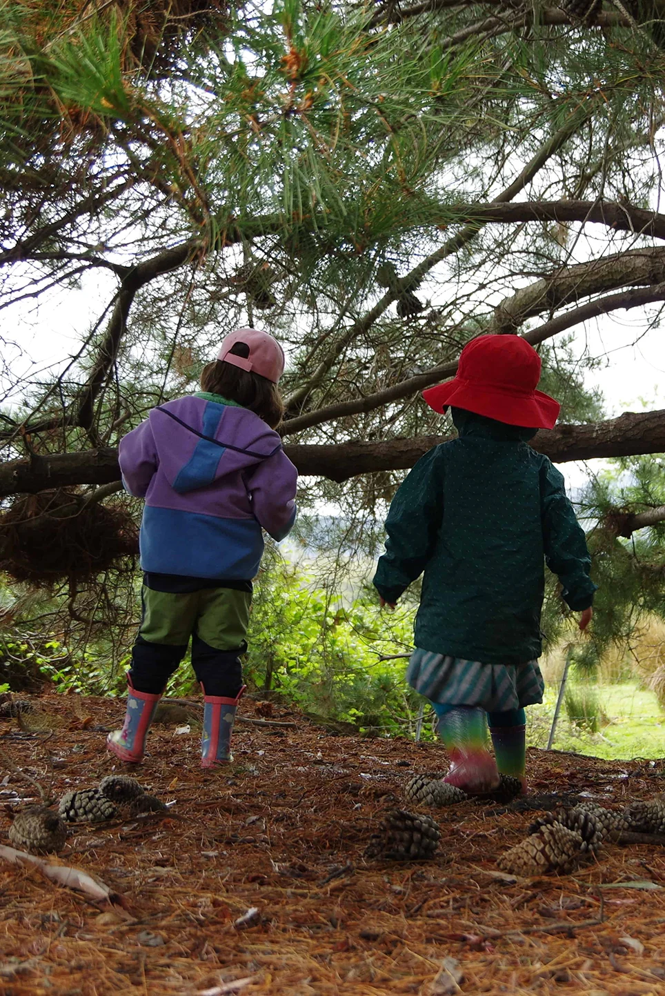 AdventurePatch_FDC-009