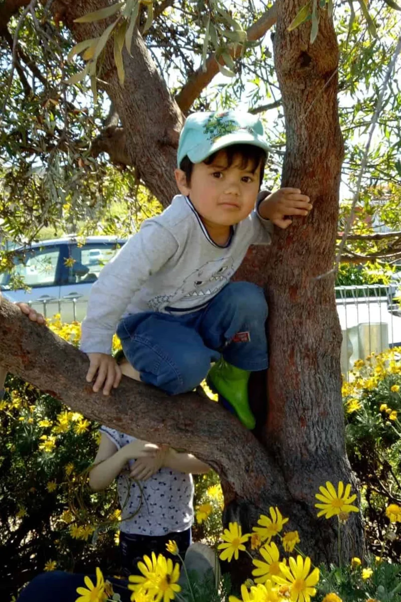 AdventurePatch_FDC-017