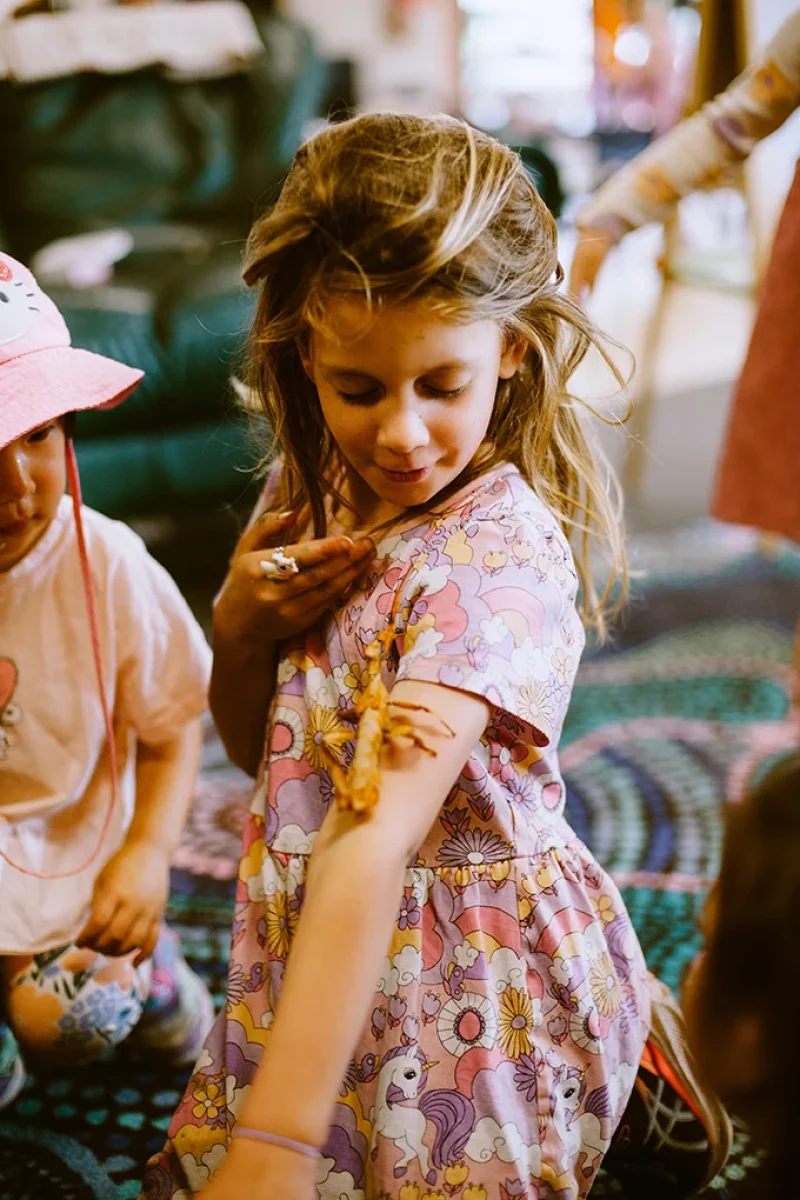 AdventurePatch_MountainView_P-117