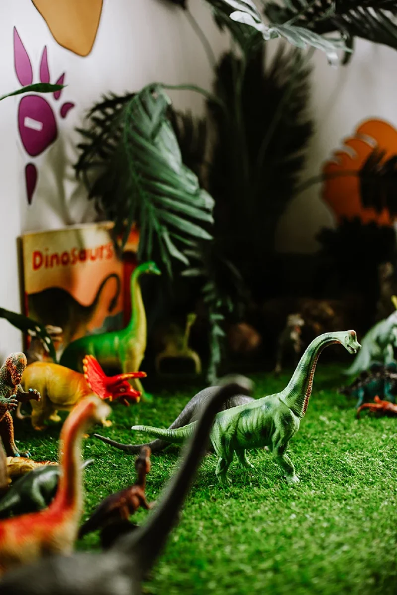 AdventurePatch_OceanView_P-058